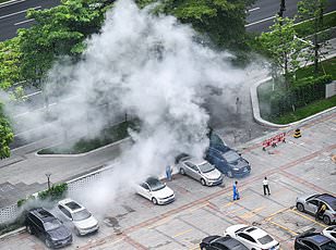 CDC Issues Level 2 Alert for Chikungunya Outbreak in Seychelles and Suriname, Urges Travelers to Take Precautions