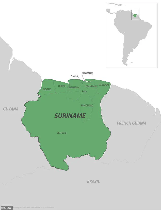 CDC Issues Level 2 Alert for Chikungunya Outbreak in Seychelles and Suriname, Urges Travelers to Take Precautions