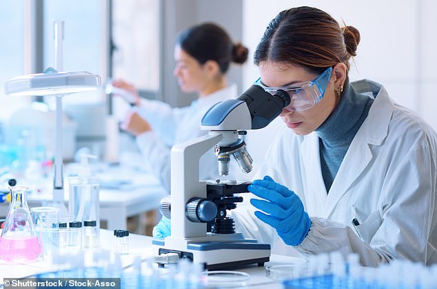 Major Breakthrough: Neomorph's NEO-811 Enters Clinical Trial Using Molecular Glue Degraders to Target Kidney Cancer