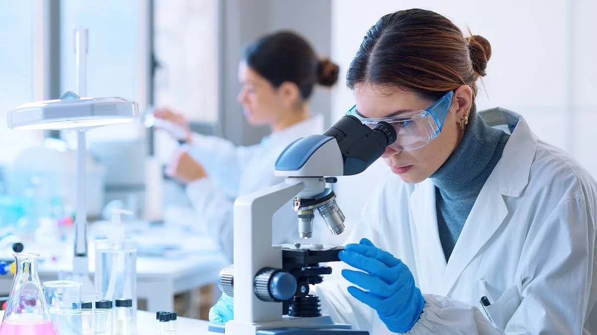 Major Breakthrough: Neomorph's NEO-811 Enters Clinical Trial Using Molecular Glue Degraders to Target Kidney Cancer