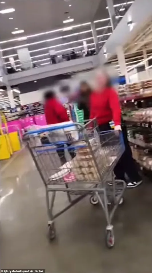 Walmart Employee Confronts Woman Over Service Dog, ADA Compliance Sparks Debate