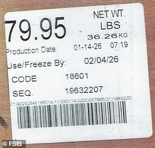 USDA Recalls 23,000 Pounds of Ground Beef Over E. coli Contamination