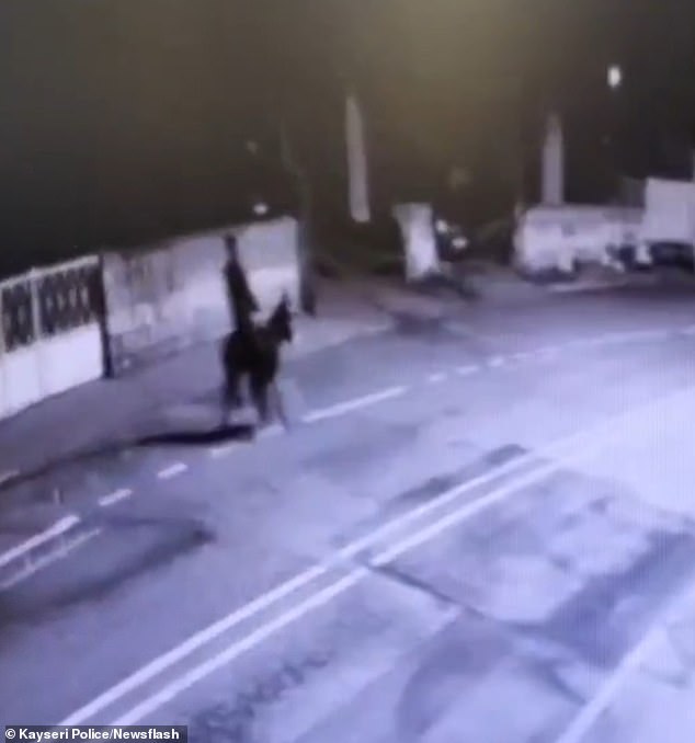 Kayseri's Brazen Gold Heist: Forklift and Donkey Shock Authorities