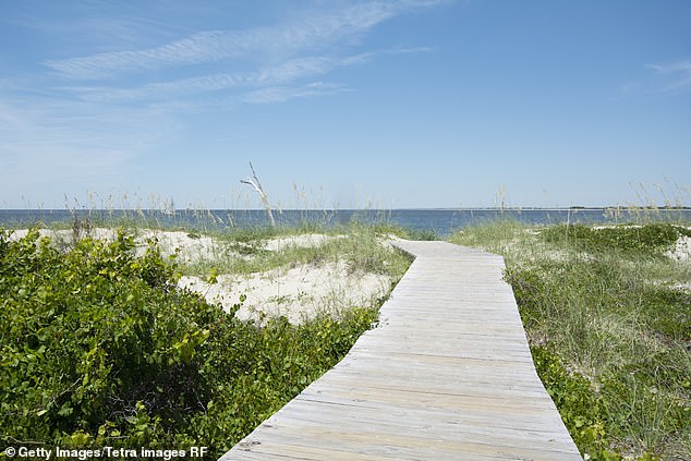 Massive Great White Shark Spotted Near Cape Fear, Reviving Interest in Coastal Ecosystems