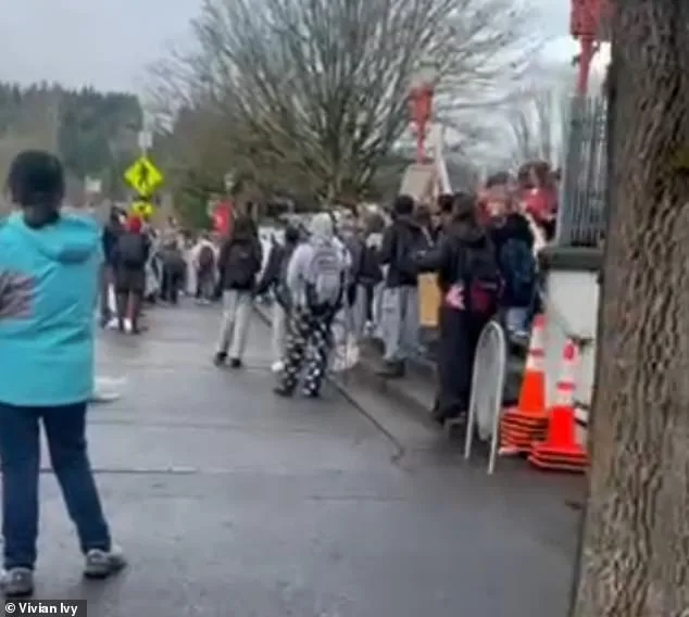 Protesters Attack Mother During Unsanctioned Walkout in Washington