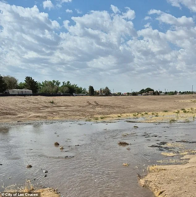 New Mexico Mother Allegedly Abandons Newborn in Chemical Tank, Baby Dies