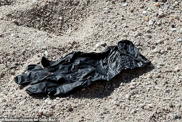 DNA from Glove Linked to Suspect in Nancy Guthrie Disappearance Enters FBI Database