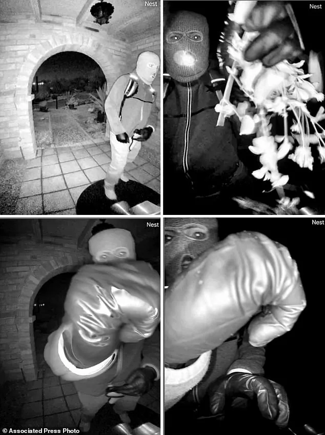 DNA from Glove Linked to Suspect in Nancy Guthrie Disappearance Enters FBI Database