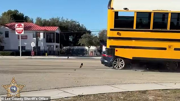 Terrifying Near-Miss: Jaguar Collides with School Bus in San Carlos Park, Florida – No Injuries Reported