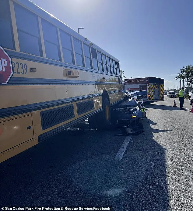 Terrifying Near-Miss: Jaguar Collides with School Bus in San Carlos Park, Florida – No Injuries Reported