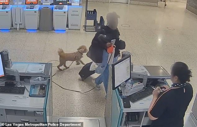 Woman Allegedly Leaves Service Dog Tied to Carry-On Sizer at Las Vegas Airport