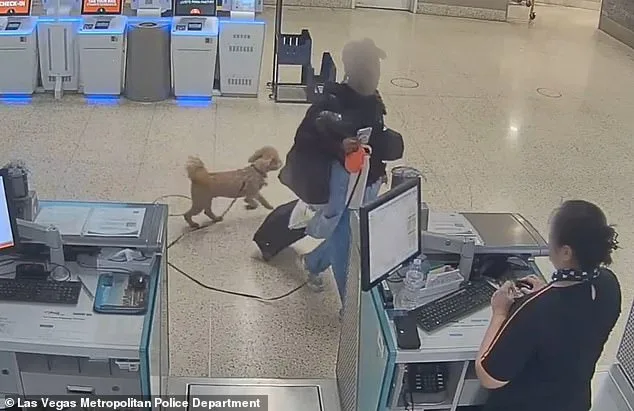 Woman Allegedly Leaves Service Dog Tied to Carry-On Sizer at Las Vegas Airport