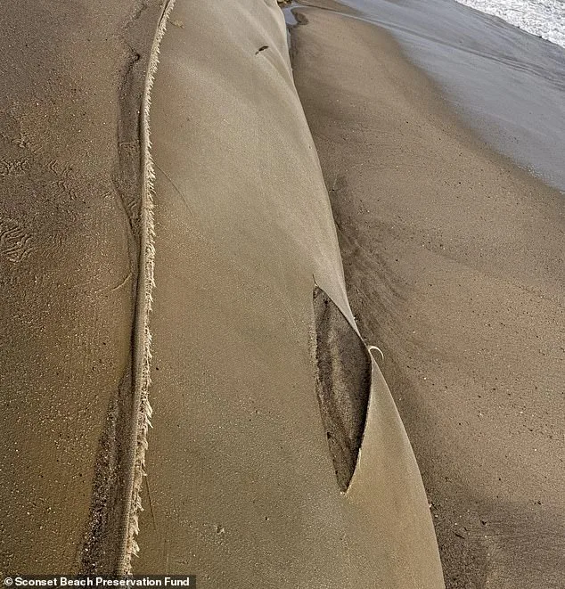 Nantucket Offers $10,000 Reward for Sabotage of Erosion-Control Measures, as Coastal Protection System Damaged