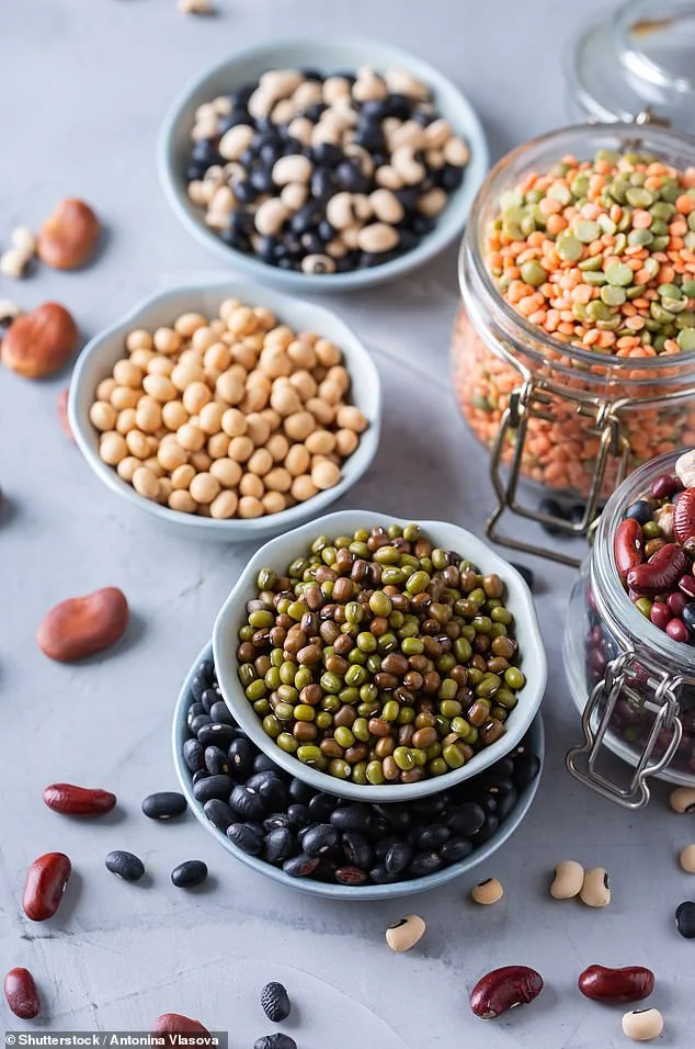 Plant-Based Diets and Cancer Prevention: Key to Reducing Risk