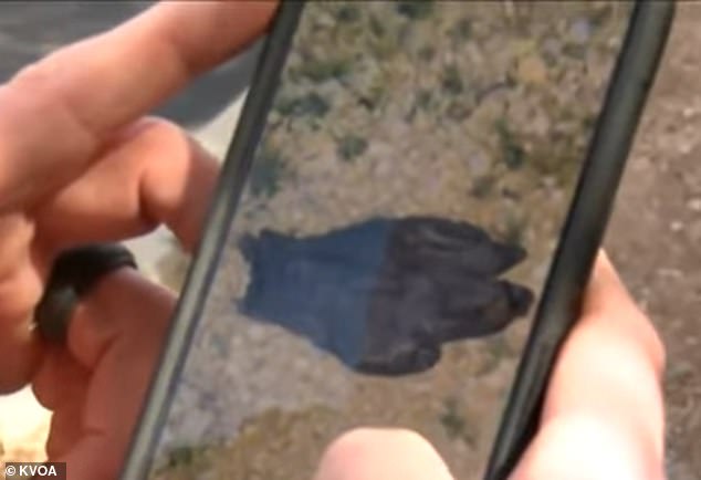 Tucson Couple Finds Bloodstained Glove, Reigniting Hope and Fear on 20th Day of Search for Missing Nancy Guthrie