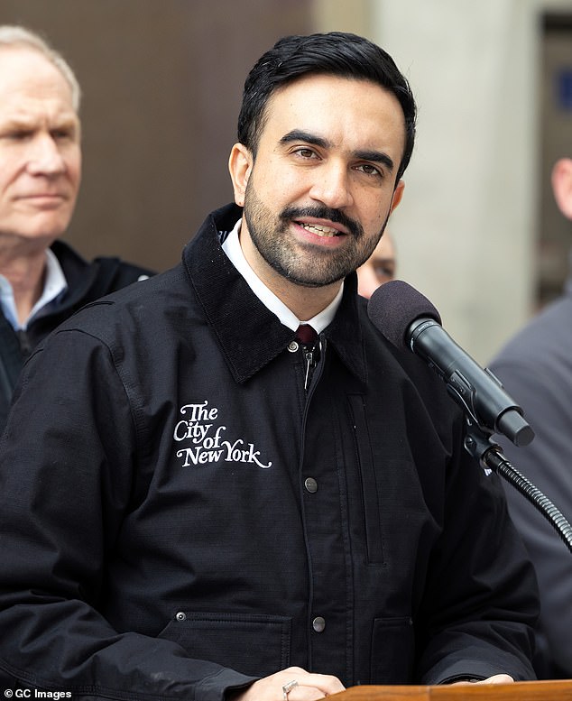 New York Mayor's Snow Shovel Registration Sparks Controversy Over ID Requirements, Echoing DSA's Voter ID Stance