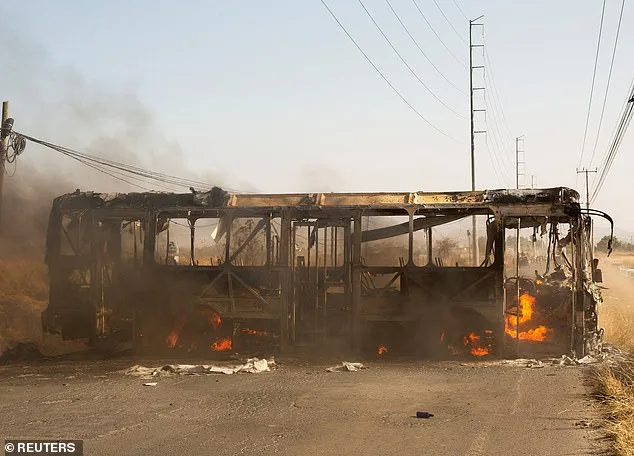 Puerto Vallarta in Chaos as Cartel Clash Sparks Violence, Strands Tourists