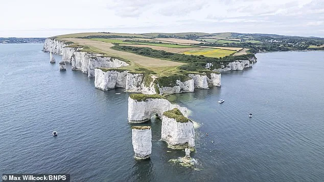 Defying 'No Access' Warnings, Father Navigates Treacherous Chalk Ridge at Old Harry Rocks