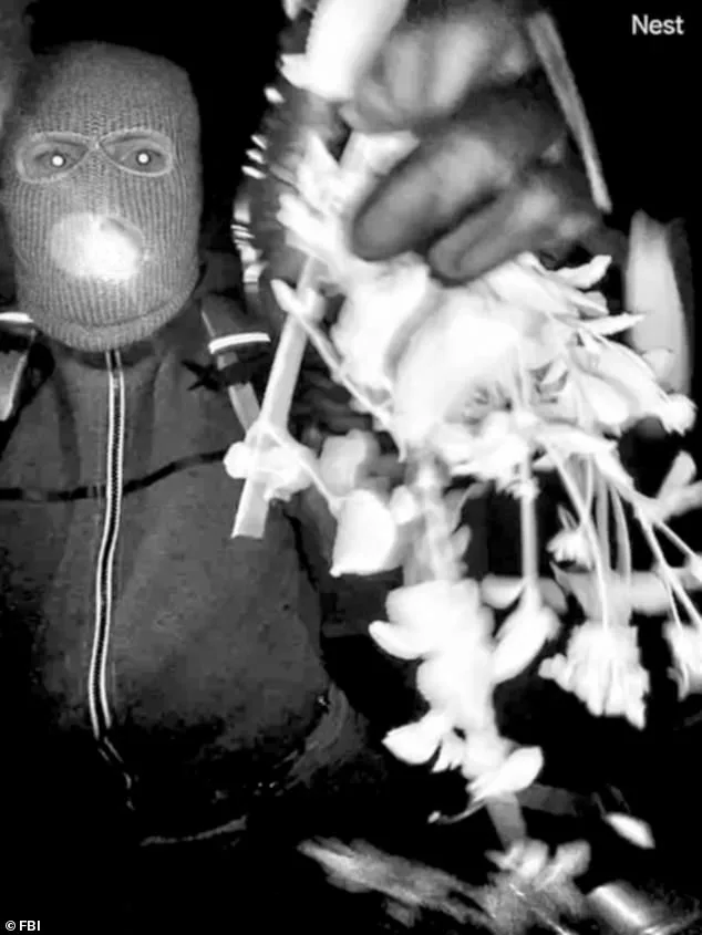 New Footage Reveals Masked Suspect at Nancy Guthrie's Tucson Home Before Abduction