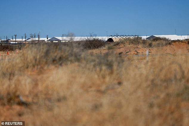 Irish Immigrant's Claims of Torture Clash with Domestic Violence Allegations in U.S. Immigration Case