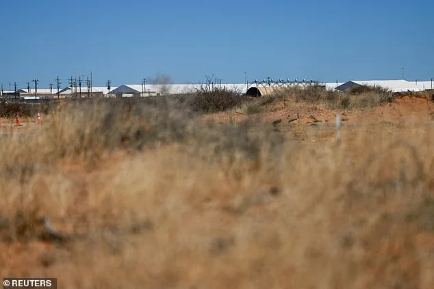 Irish Immigrant's Claims of Torture Clash with Domestic Violence Allegations in U.S. Immigration Case