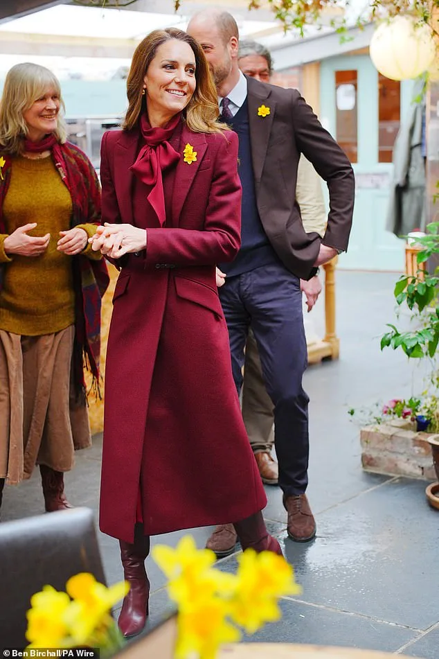 Duke and Duchess of Sussex's Jordan Visit Marked by Royal Absence and Speculation Over Their Role in the British Monarchy