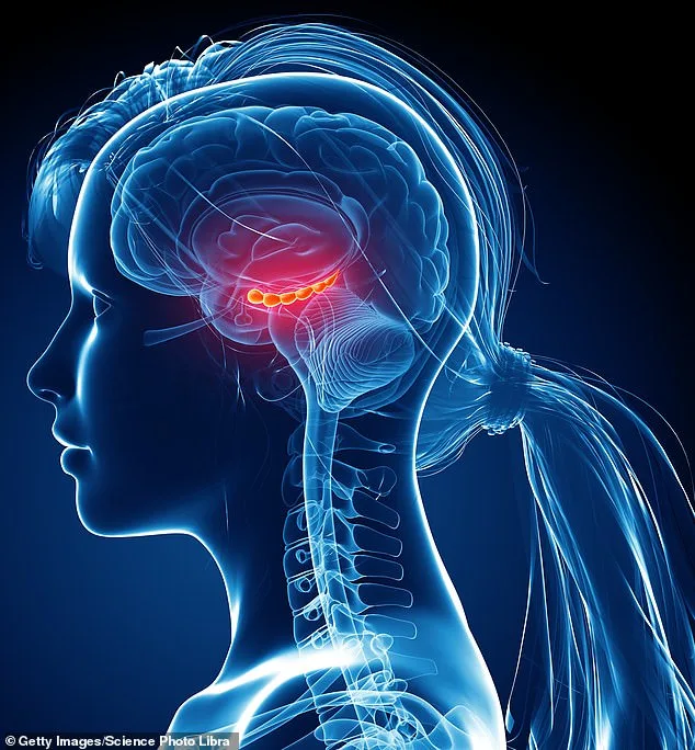 The Myth of a Static Brain: How Neuroplasticity and Regeneration Are Reshaping Science