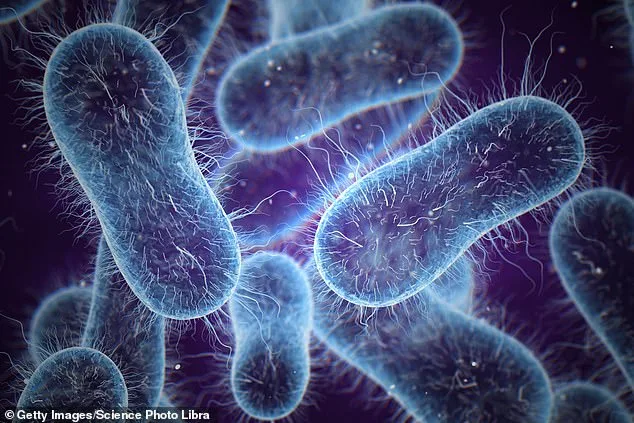 Typhoid Fever Resurges With Drug Resistance, Fueling Global Health Concerns