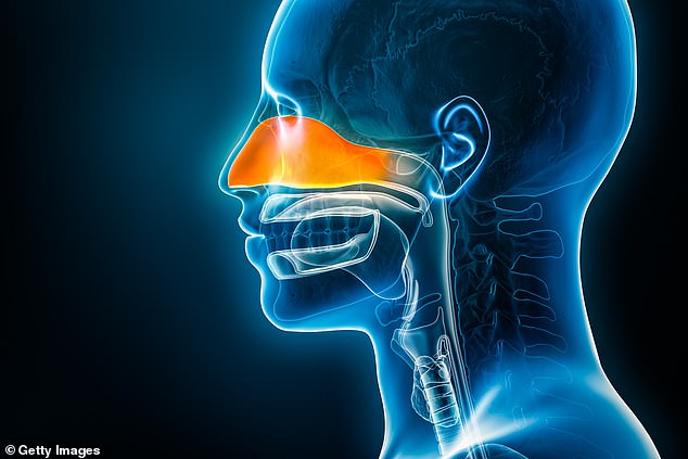 A 15-Year Struggle: How Chronic Rhinosinusitis Robbed a Grandmother of Her Smell and Taste