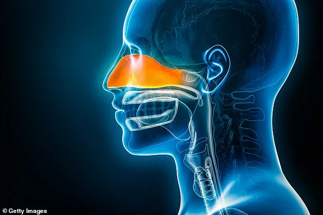 A 15-Year Struggle: How Chronic Rhinosinusitis Robbed a Grandmother of Her Smell and Taste