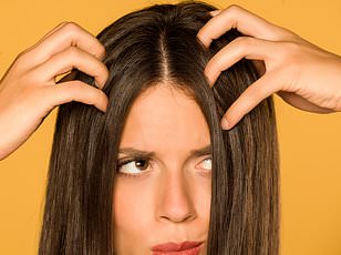 Dandruff Surge Linked to Scalp Microbiome Shifts and Environmental Changes, Raising Public Health Concerns