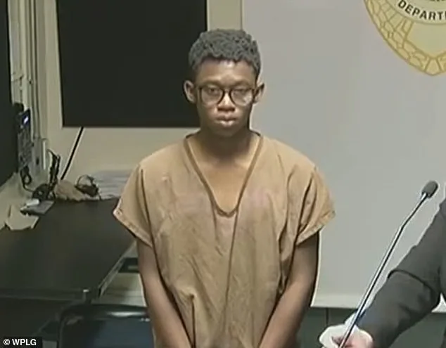 Two Boys Charged with Raping 12-Year-Old Girl in Miami, Rocks Used to Silence Her Screams