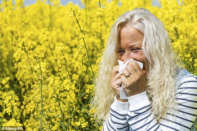 Urgent Warning: Hay Fever Sufferers Advised to Start Antihistamines Early to Avoid Severe Symptoms