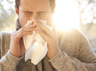 Urgent Warning: Hay Fever Sufferers Advised to Start Antihistamines Early to Avoid Severe Symptoms