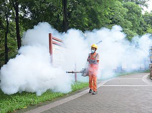 CDC Issues Level 2 Travel Advisory for 32 Countries Amid Polio Resurgence in Europe, Africa, and Middle East