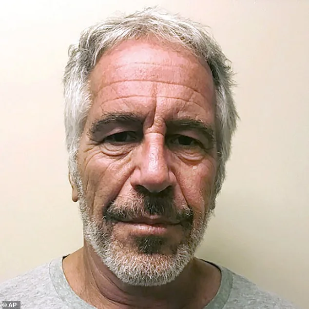 Tova Noel's Pre-Death Searches and Unexplained Cash Deposits in Epstein Case