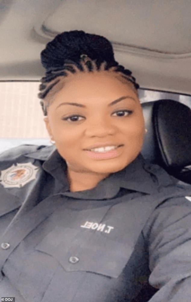 Tova Noel's Pre-Death Searches and Unexplained Cash Deposits in Epstein Case