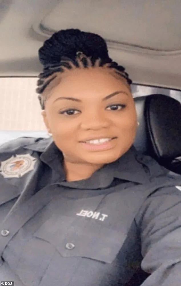 Tova Noel's Pre-Death Searches and Unexplained Cash Deposits in Epstein Case