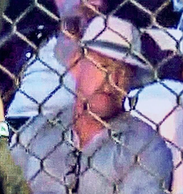 Wanted Drug Lord 'Dapper Don' Makes Shocking Public Appearance at Dubai Fight Event After Years of Evasion