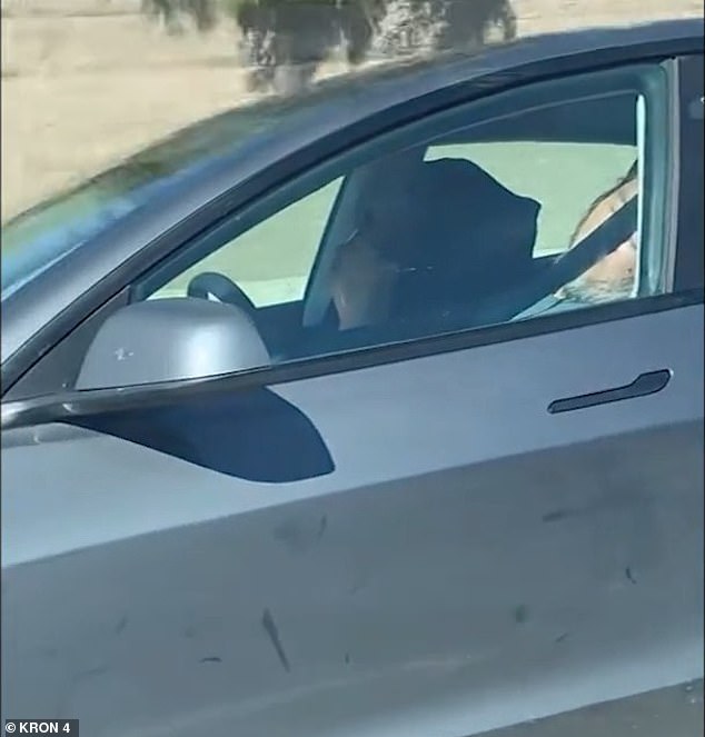 Tesla Autopilot Incident: Elderly Drivers Fall Asleep in Harrowing Highway Video