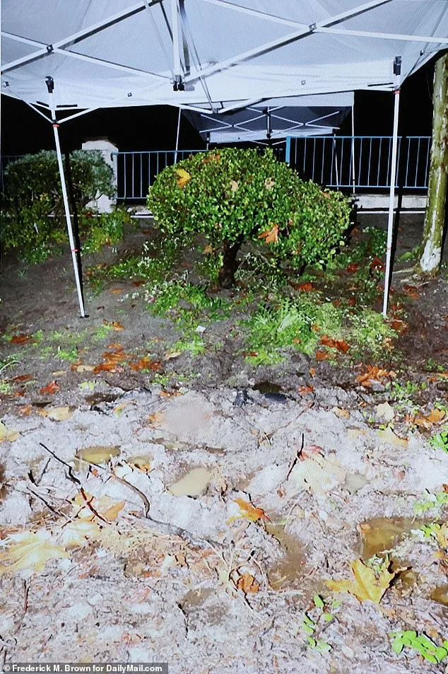 Orange County's Hidden Hate: How Privilege Fuels Extremism in America's Most Affluent Backyard