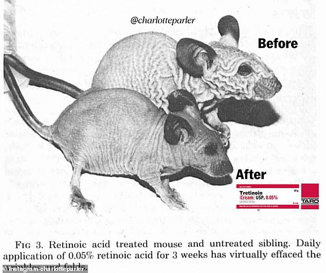 The Dark Secret Behind Your Anti-Aging Creams: How a Dermatology Pioneer's Prison Experiments Shaped Today's Skin Treatments