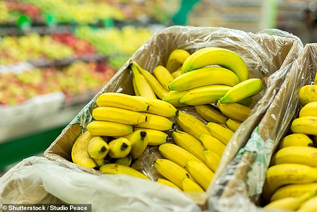 The Hidden Crisis: How Modern Diets Are Stealing Your Potassium—and What It Means for Your Health