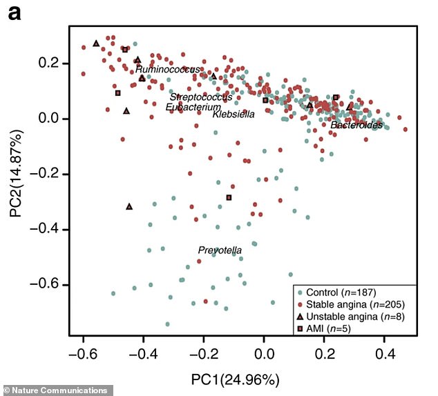 Digestive Discomfort Could Indicate Hidden Heart Risks, Research Finds