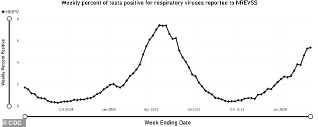 Human Metapneumovirus Spikes in U.S., CDC Warns of Rising Cases Without Vaccine