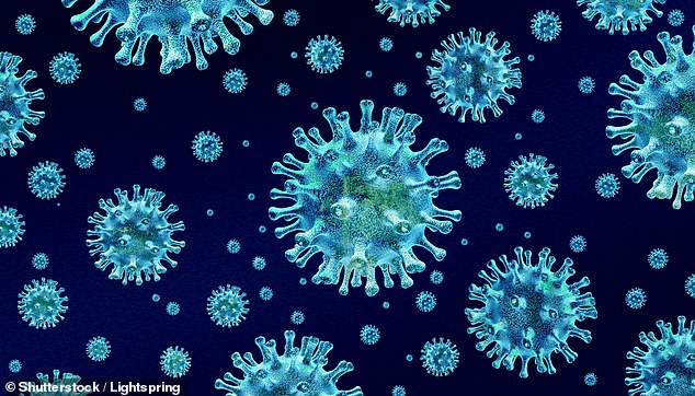 Deadly Bird Flu Spreads to Marine Mammals in California, Raising Fears of Human Transmission