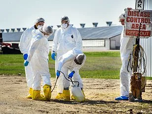 Deadly Bird Flu Spreads to Marine Mammals in California, Raising Fears of Human Transmission
