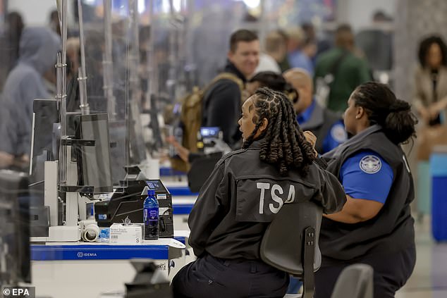 Elon Musk Offers to Pay TSA Salaries as Airport Chaos Escalates During Government Shutdown