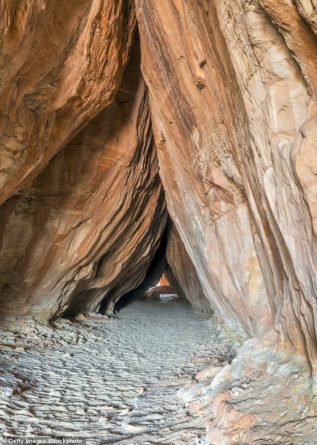 Ancient Petroglyphs in Utah Defaced with Graffiti, Sparking Statewide Investigation