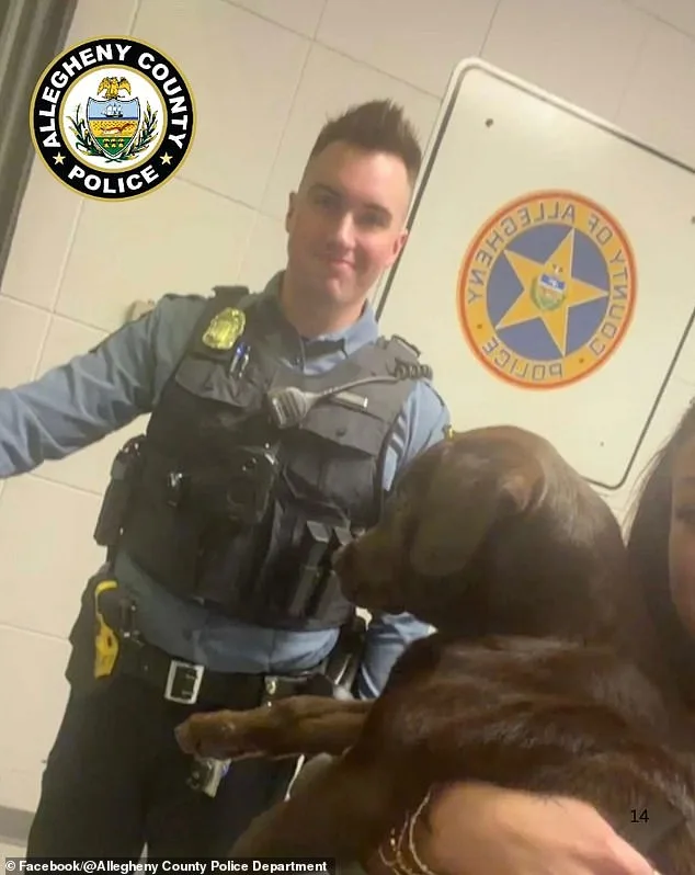 Man Charged with Animal Cruelty After Abandoning Dog at Pittsburgh Airport